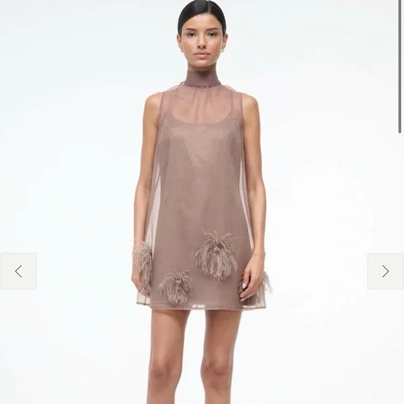 Elegant Sheer Brown Dress - Picture 1 of 3